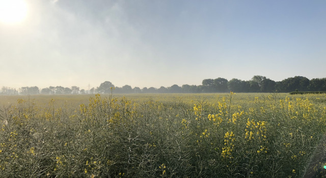 Willkommen in Prasdorf