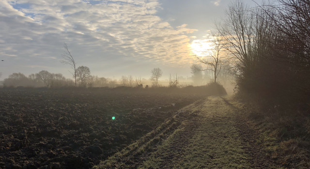 Willkommen in Prasdorf