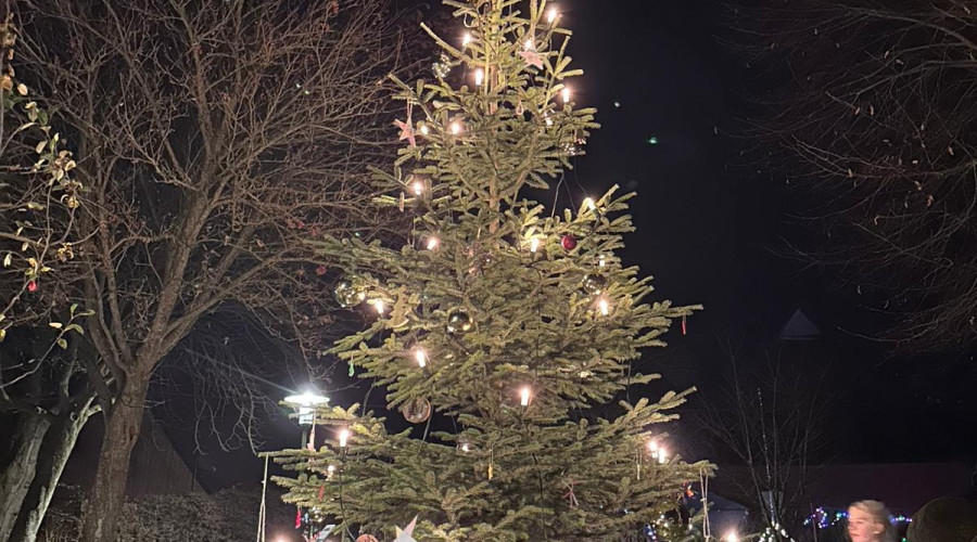 Weihnachtsbaum in Prasdorf