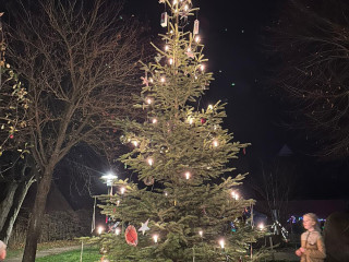 Weihnachtsbaum in Prasdorf Weihnachtsbaum in Prasdorf